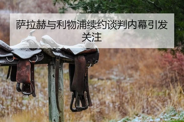 萨拉赫与利物浦续约谈判内幕引发关注